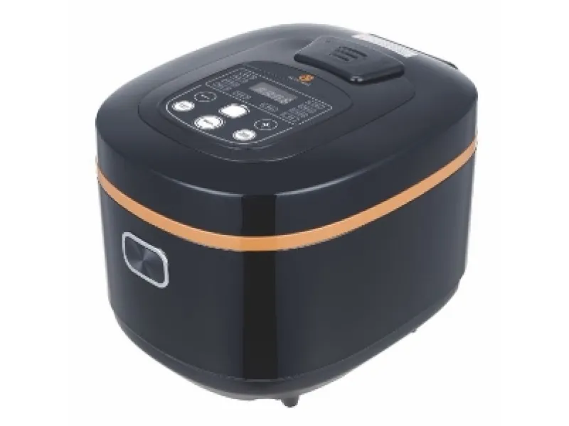 Rice Cooker AE Rc02